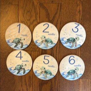 Baby Milestone Discs with Sea Turtle Design